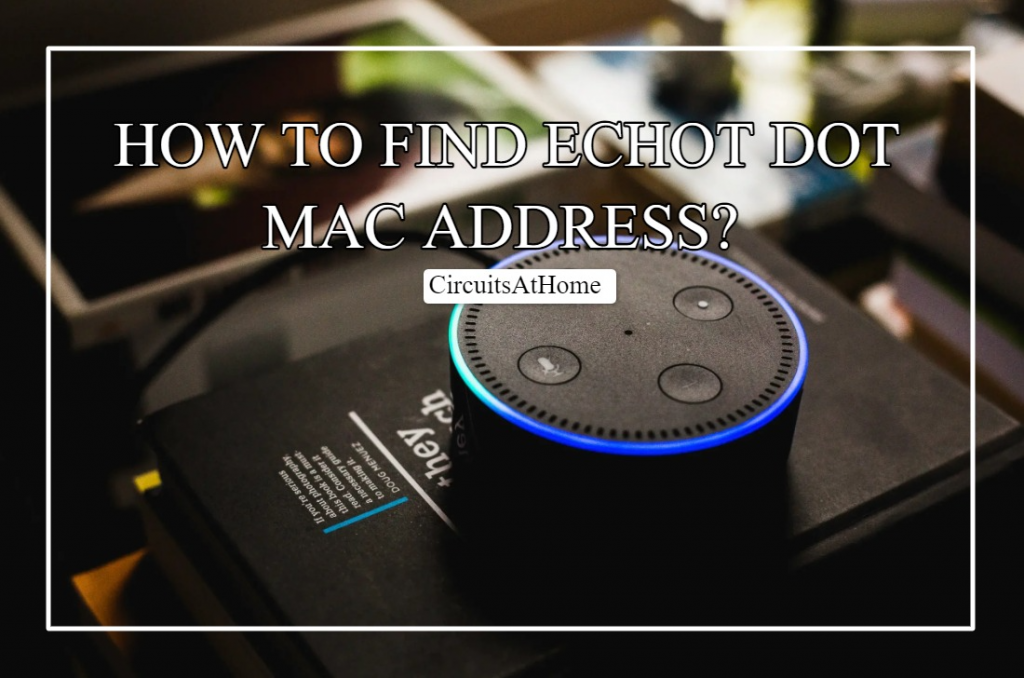 How To Find Echo Dot MAC Address?