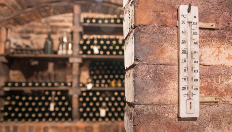 Best Wine Cellar Thermometer In The Market [Top 5 Choices For You]